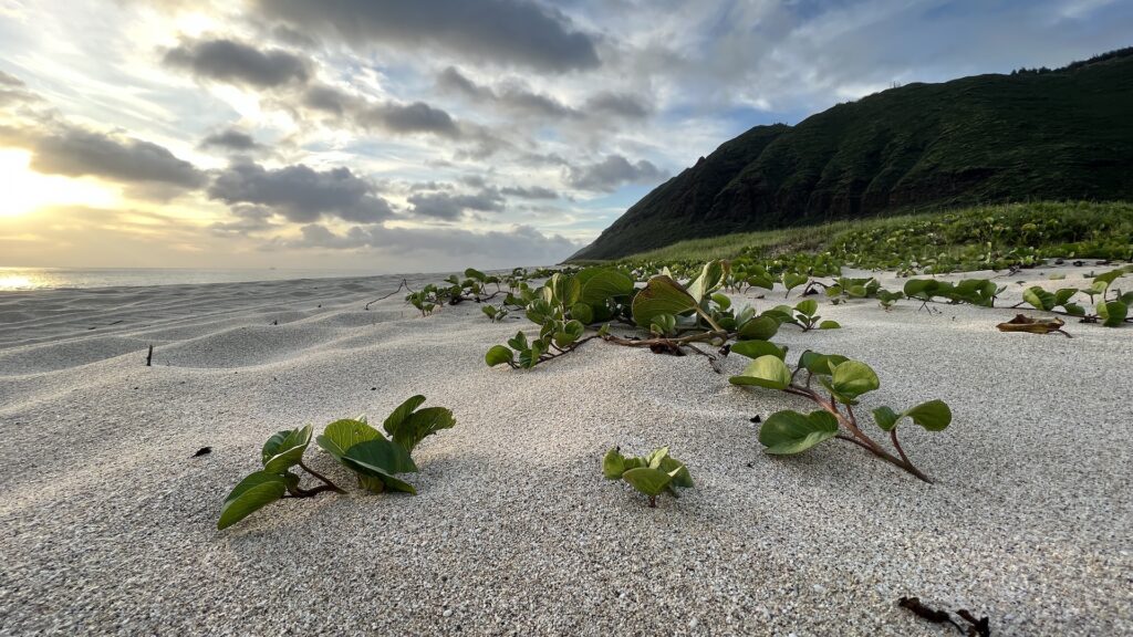 sps enterprise global sps turnkey growth 